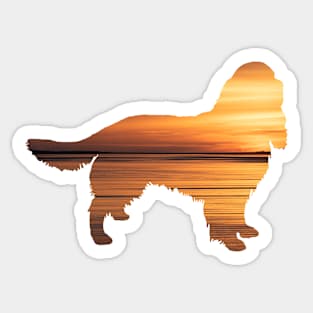 Springer Spaniel Sunset Sticker